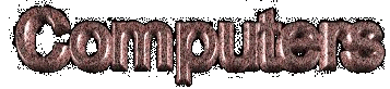 Computer Anim.